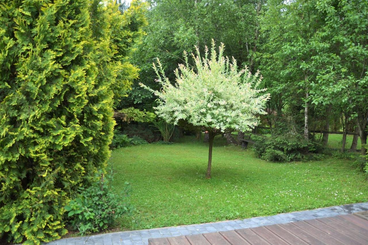 Domki Letniskowe Pod Lasem Koziniec ภายนอก รูปภาพ